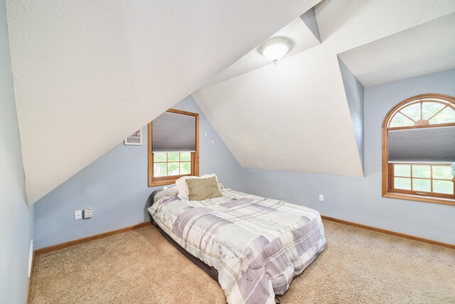 487 4th St, Manistee, MI 49660 - photo 49