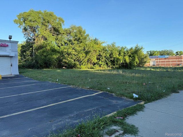 8115 Linwood St, Detroit, MI 48206 - photo 5