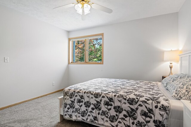3434 Holiday Village Rd, Traverse City, MI 49686 - photo 40