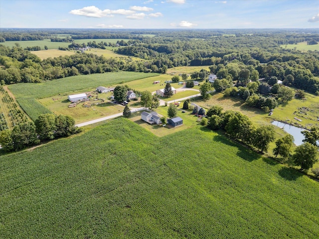 4517 Sayles Rd, Ionia, MI 48846 - photo 54
