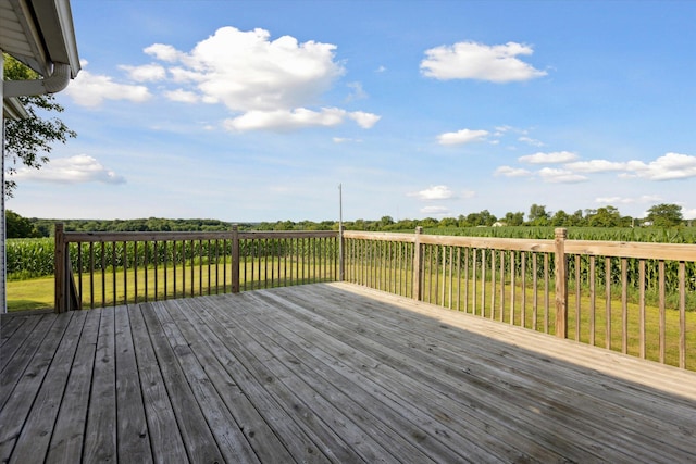 4517 Sayles Rd, Ionia, MI 48846 - photo 39