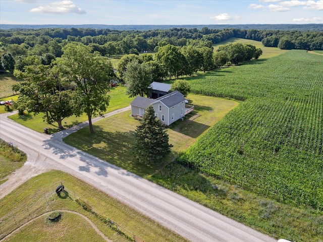 4517 Sayles Rd, Ionia, MI 48846 - photo 47