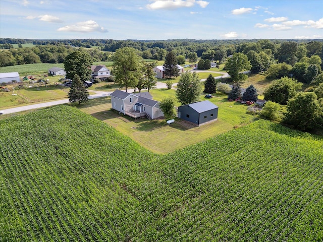 4517 Sayles Rd, Ionia, MI 48846 - photo 48