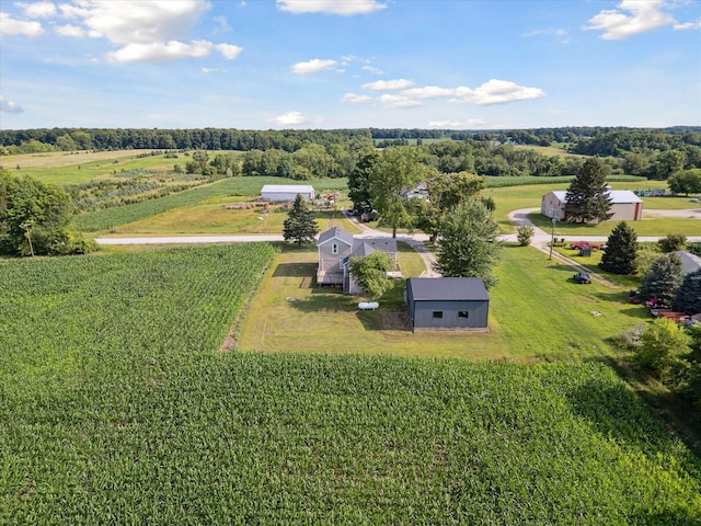 4517 Sayles Rd, Ionia, MI 48846 - photo 49