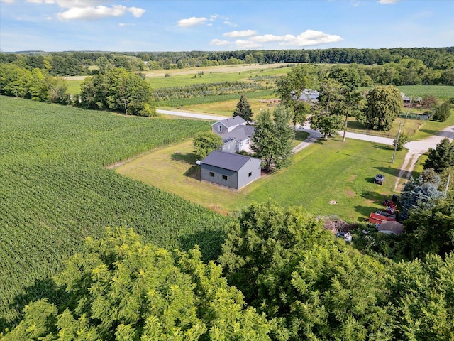 4517 Sayles Rd, Ionia, MI 48846 - photo 50