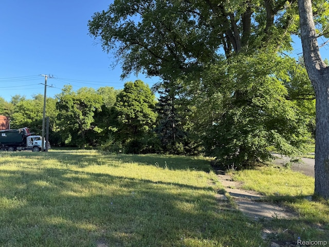 5673 16th St, Detroit, MI 48208 - photo 6