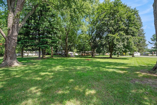 60610 Marjorie Ann St, South Lyon, MI 48178 - photo 24
