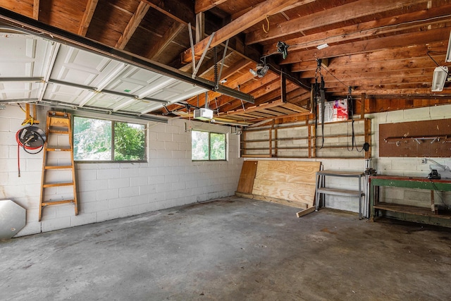 60610 Marjorie Ann St, South Lyon, MI 48178 - photo 30