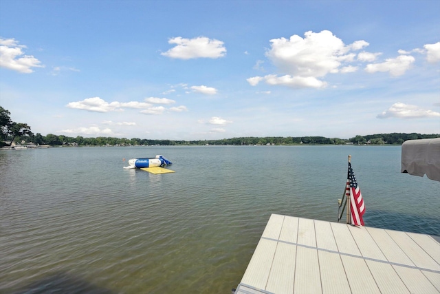 240 Aquamarine Dr, Horton, MI 49246 - photo 61