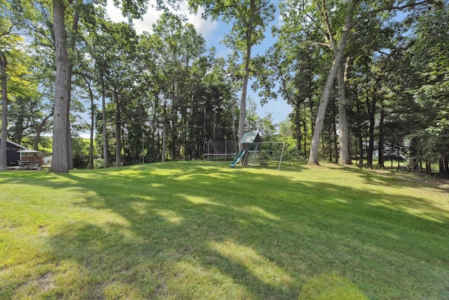 240 Aquamarine Dr, Horton, MI 49246 - photo 64