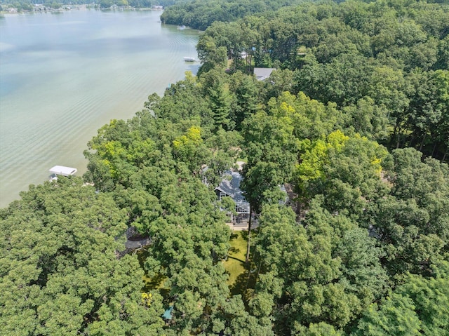 240 Aquamarine Dr, Horton, MI 49246 - photo 69
