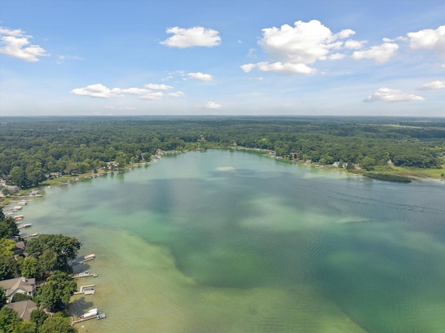 240 Aquamarine Dr, Horton, MI 49246 - photo 80