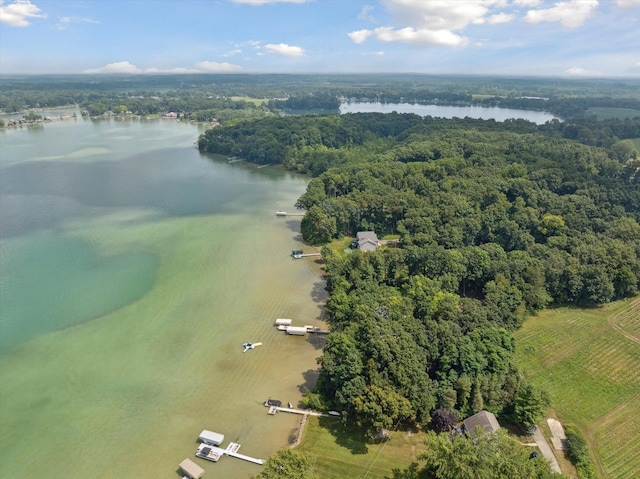 240 Aquamarine Dr, Horton, MI 49246 - photo 82