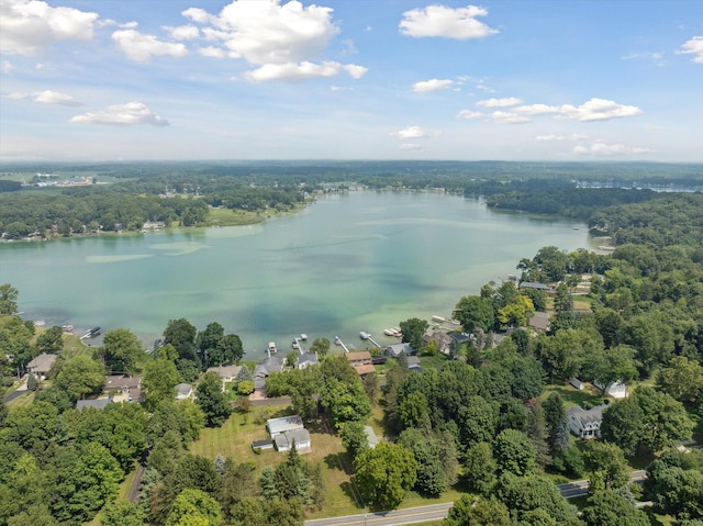 240 Aquamarine Dr, Horton, MI 49246 - photo 85