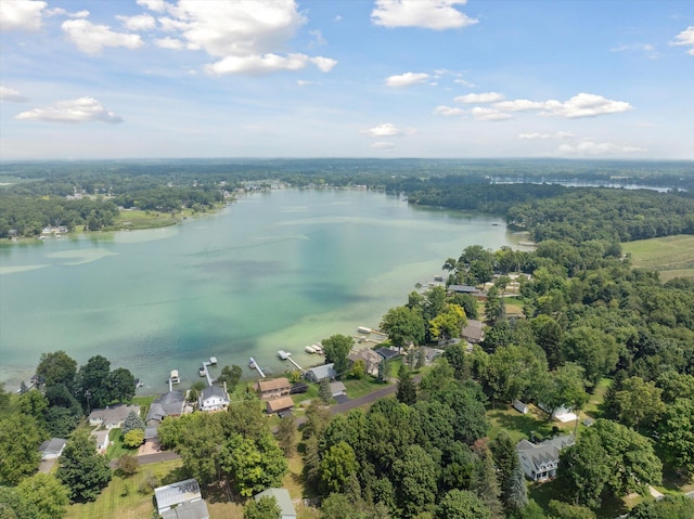 240 Aquamarine Dr, Horton, MI 49246 - photo 86
