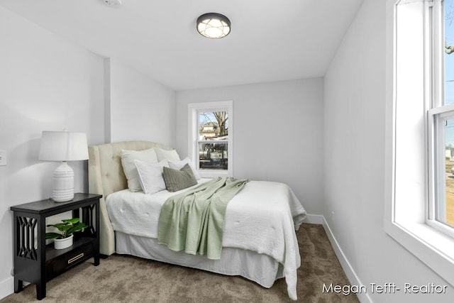 982 Lee St, Martin, MI 49070 - photo 11