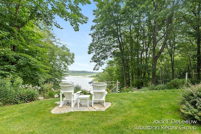 7636 W Birch Ln, New Era, MI 49446 - photo 34
