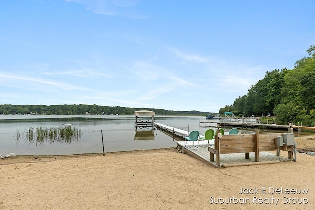 7636 W Birch Ln, New Era, MI 49446 - photo 37