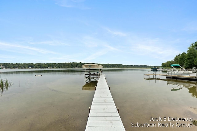 7636 W Birch Ln, New Era, MI 49446 - photo 38