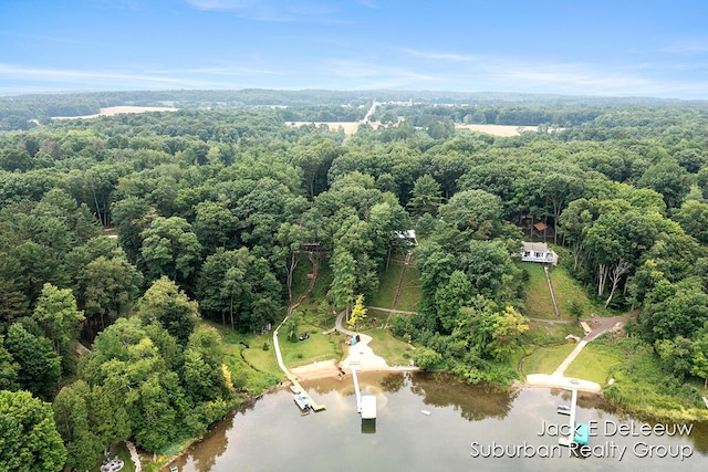 7636 W Birch Ln, New Era, MI 49446 - photo 41