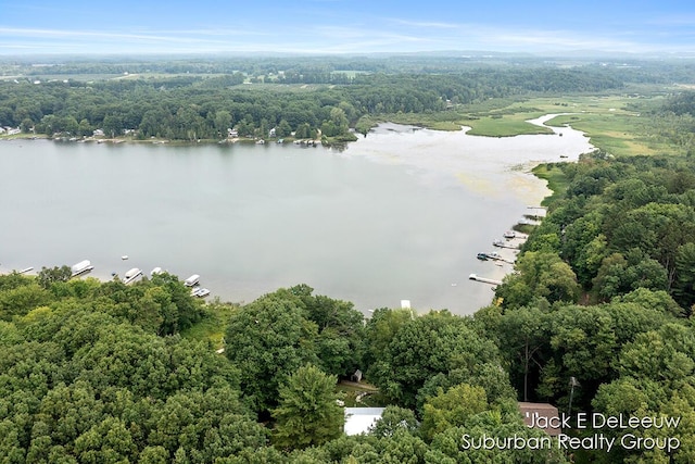 7636 W Birch Ln, New Era, MI 49446 - photo 42