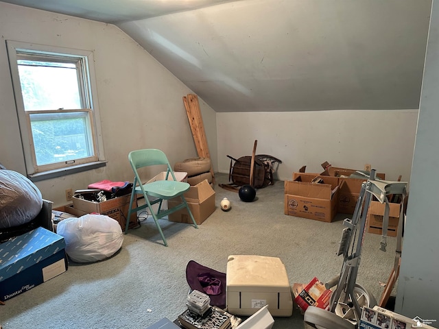 722 Cass St, Monroe, MI 48161 - photo 18