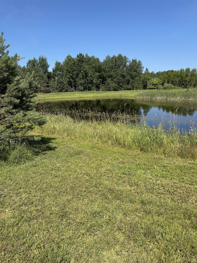 4419 E Moorestown Rd, Lake City, MI 49651 - photo 41
