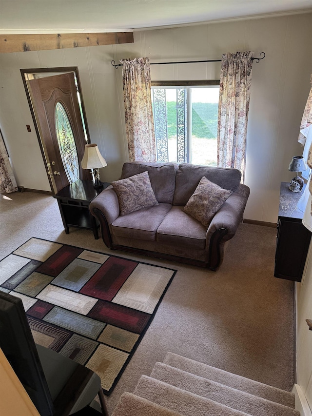 4419 E Moorestown Rd, Lake City, MI 49651 - photo 8