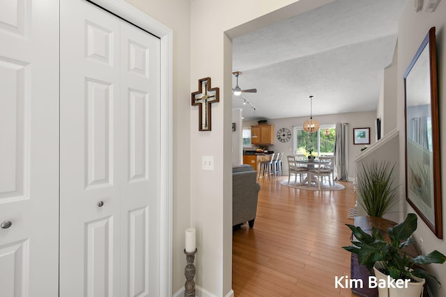 16924 Buchanan St, Grand Haven, MI 49417 - photo 18