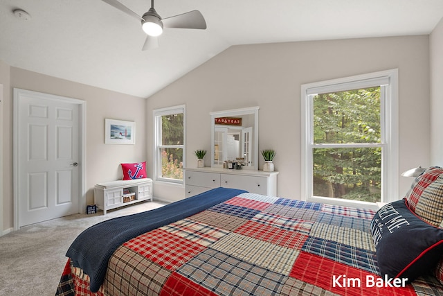 16924 Buchanan St, Grand Haven, MI 49417 - photo 42
