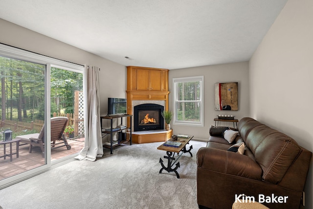 16924 Buchanan St, Grand Haven, MI 49417 - photo 51