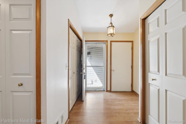 2925 E Telluride, Brighton, MI 48114 - photo 8