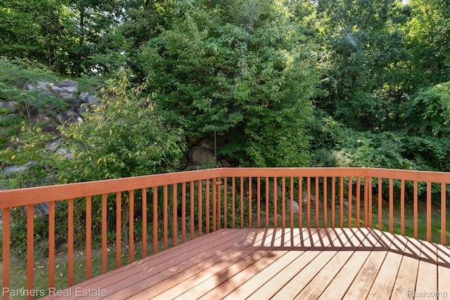 2925 E Telluride, Brighton, MI 48114 - photo 45