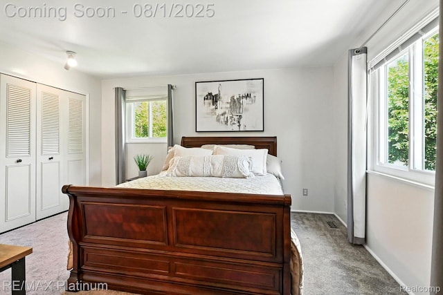6339 Chaparral Dr, Brighton, MI 48116 - photo 21