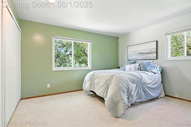 6339 Chaparral Dr, Brighton, MI 48116 - photo 17