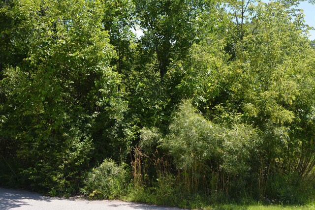 TBD Rose Marie Ln, Mount Pleasant, MI 48858 - photo 6