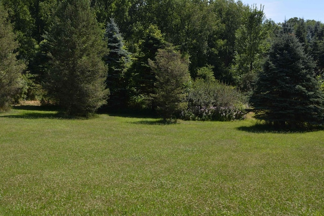 TBD Rose Marie Ln, Mount Pleasant, MI 48858 - photo 1
