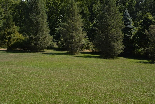 TBD Rose Marie Ln, Mount Pleasant, MI 48858 - photo 2