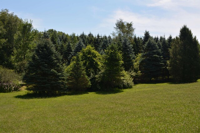 TBD Rose Marie Ln, Mount Pleasant, MI 48858 - photo 5