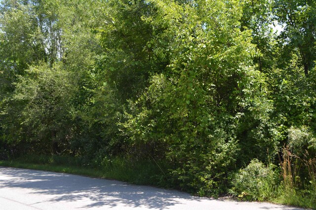 TBD Rose Marie Ln, Mount Pleasant, MI 48858 - photo 7
