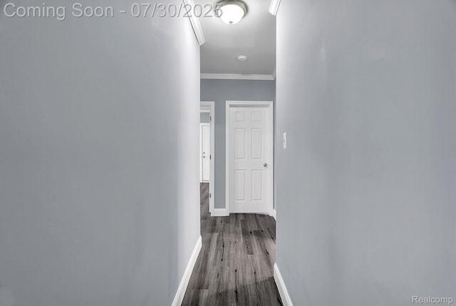 3273 Cortland St, Detroit, MI 48206 - photo 17