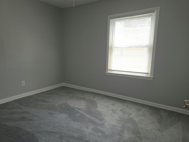 19785 Chapel St, Detroit, MI 48219 - photo 26