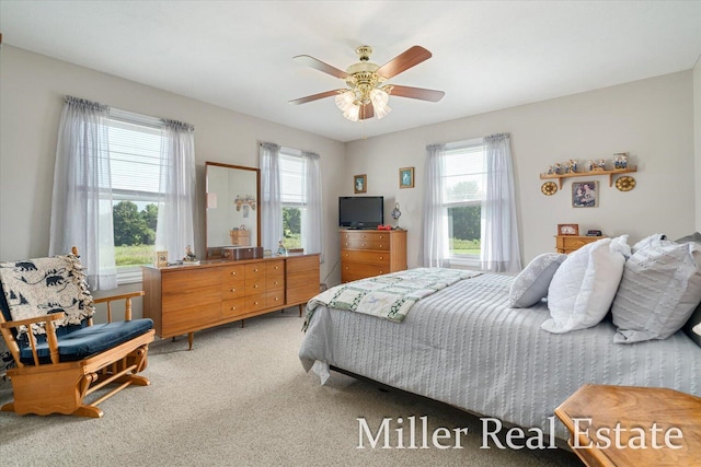 2200 Barber Rd, Hastings, MI 49058 - photo 15