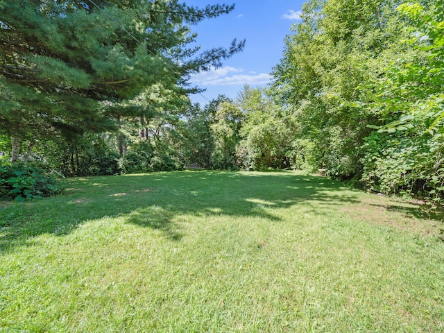 15893 Lenore Ave, Redford, MI 48239 - photo 16