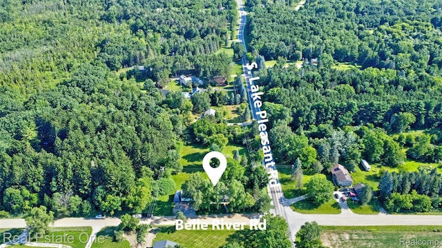 1505 S Lake Pleasant Rd, Attica, MI 48412 - photo 26