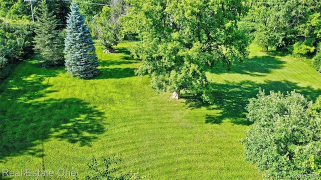1505 S Lake Pleasant Rd, Attica, MI 48412 - photo 32