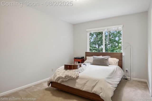 1351 Cartwright Ln, South Lyon, MI 48178 - photo 25