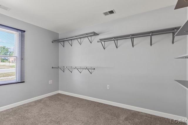 721 Riverside St, Adrian, MI 49221 - photo 28