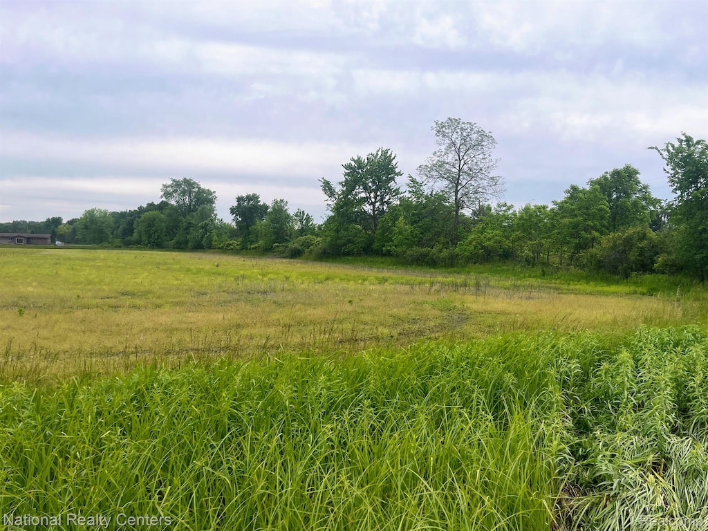 PARCELC Burt Road, Allenton, MI 48002 - photo 2