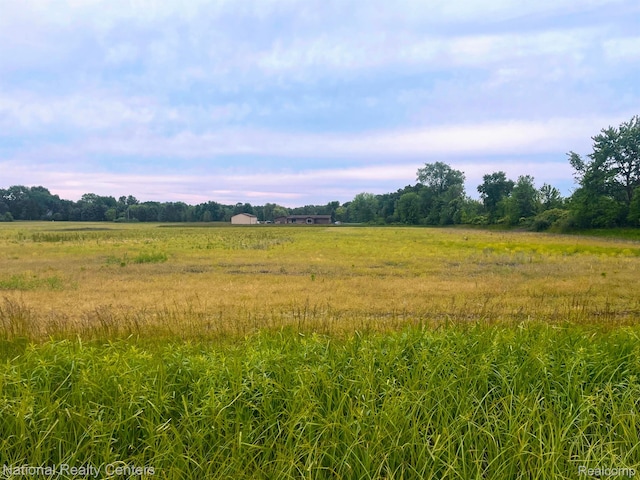 PARCELC Burt Road, Allenton, MI 48002 - photo 1